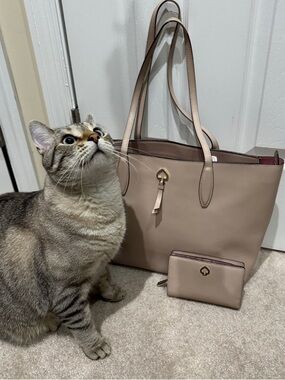 kate spade blush beige leather tote with matching wallet